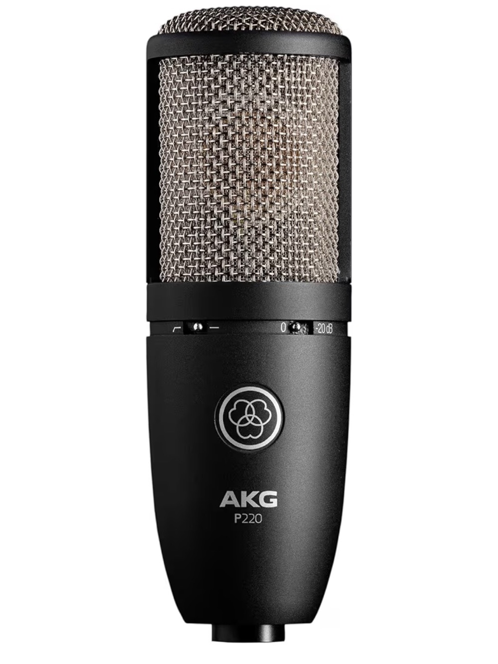 AKG Pro Audio P220 High-Performance Condenser Microphone, XLR Wired Mic